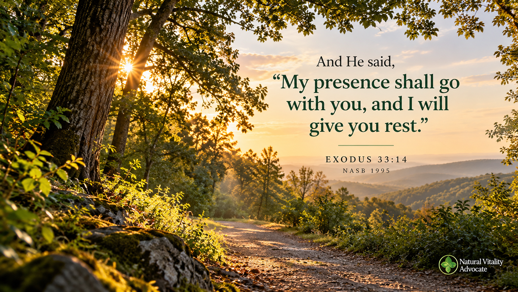 Sunlit forest path with Exodus 33:14: “My presence shall go with you, and I will give you rest.”